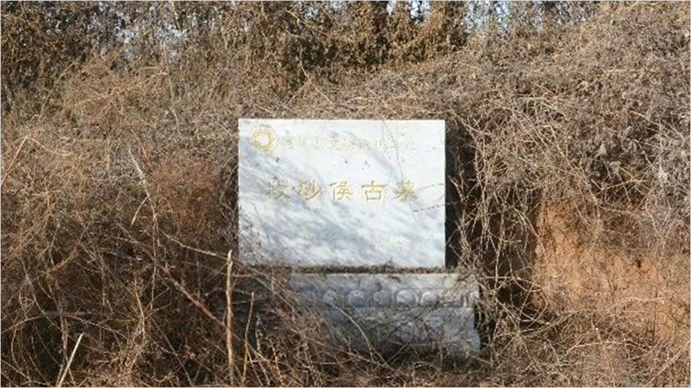 20230113-102.jpg