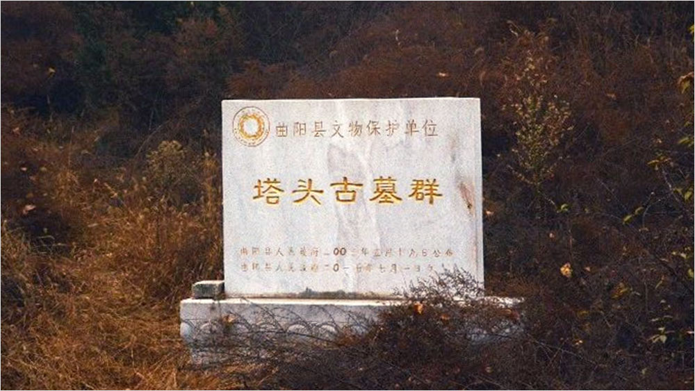20230113-107.jpg